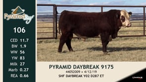Lot #106 - PYRAMID DAYBREAK 9175