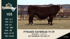 Lot #105 - PYRAMID DAYBREAK 9139