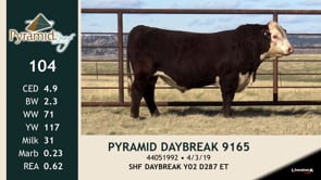Lot #104 - PYRAMID DAYBREAK 9165