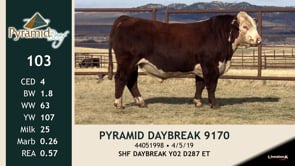 Lot #103 - PYRAMID DAYBREAK 9170