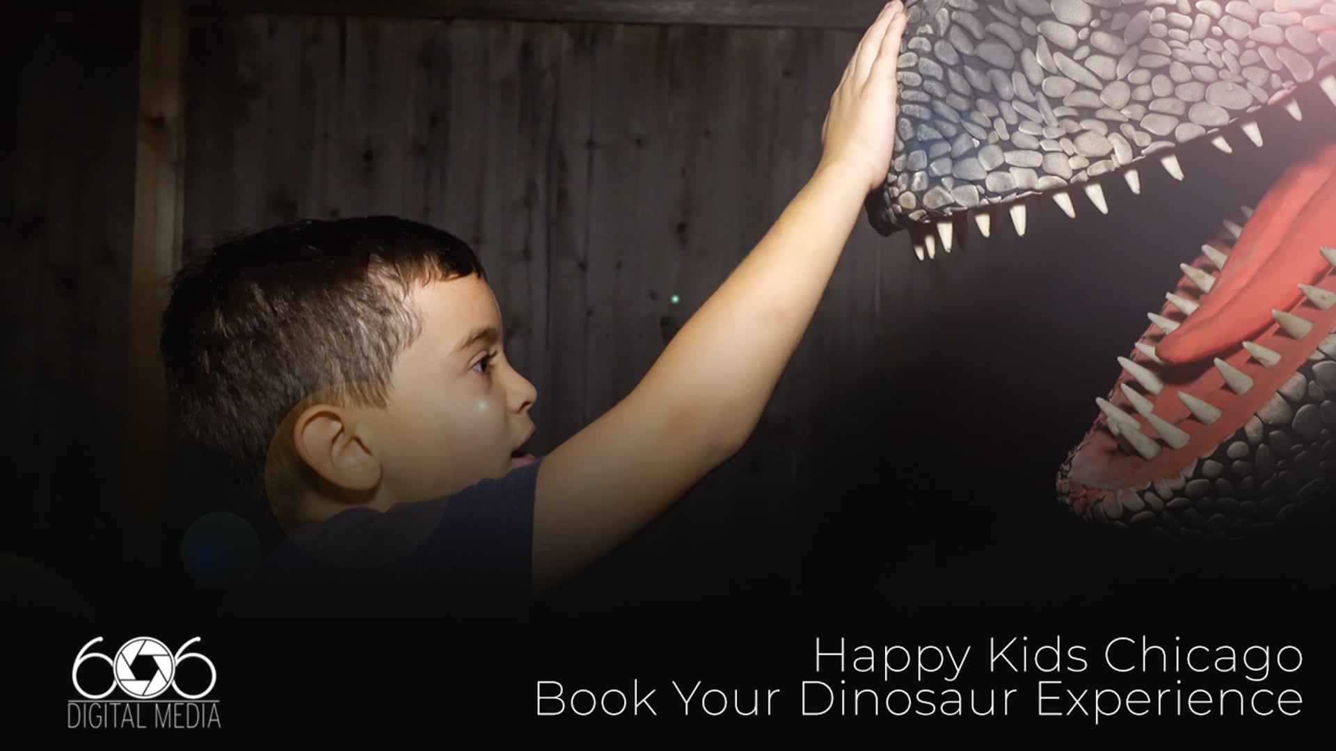Happy Kids Chicago | Dinosaur Experience