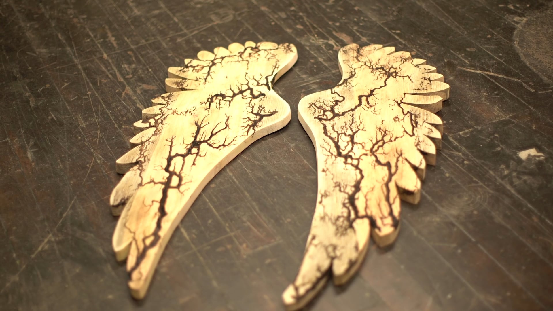 Meet the Tenants: Holly B.