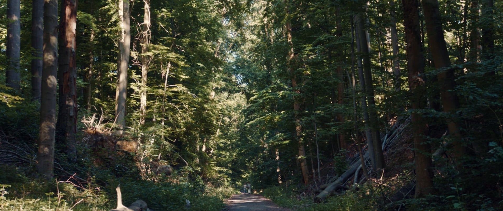 Eavesdroppers - Trailer