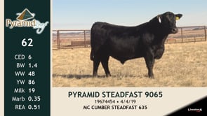 Lot #62 - PYRAMID STEADFAST 9065 -OUT-