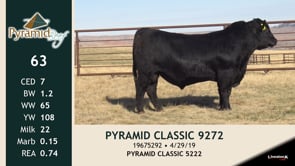 Lot #63 - PYRAMID CLASSIC 9272