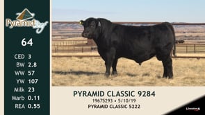 Lot #64 - PYRAMID CLASSIC 9284