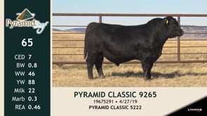 Lot #65 - PYRAMID CLASSIC 9265