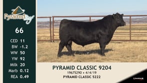Lot #66 - PYRAMID CLASSIC 9204