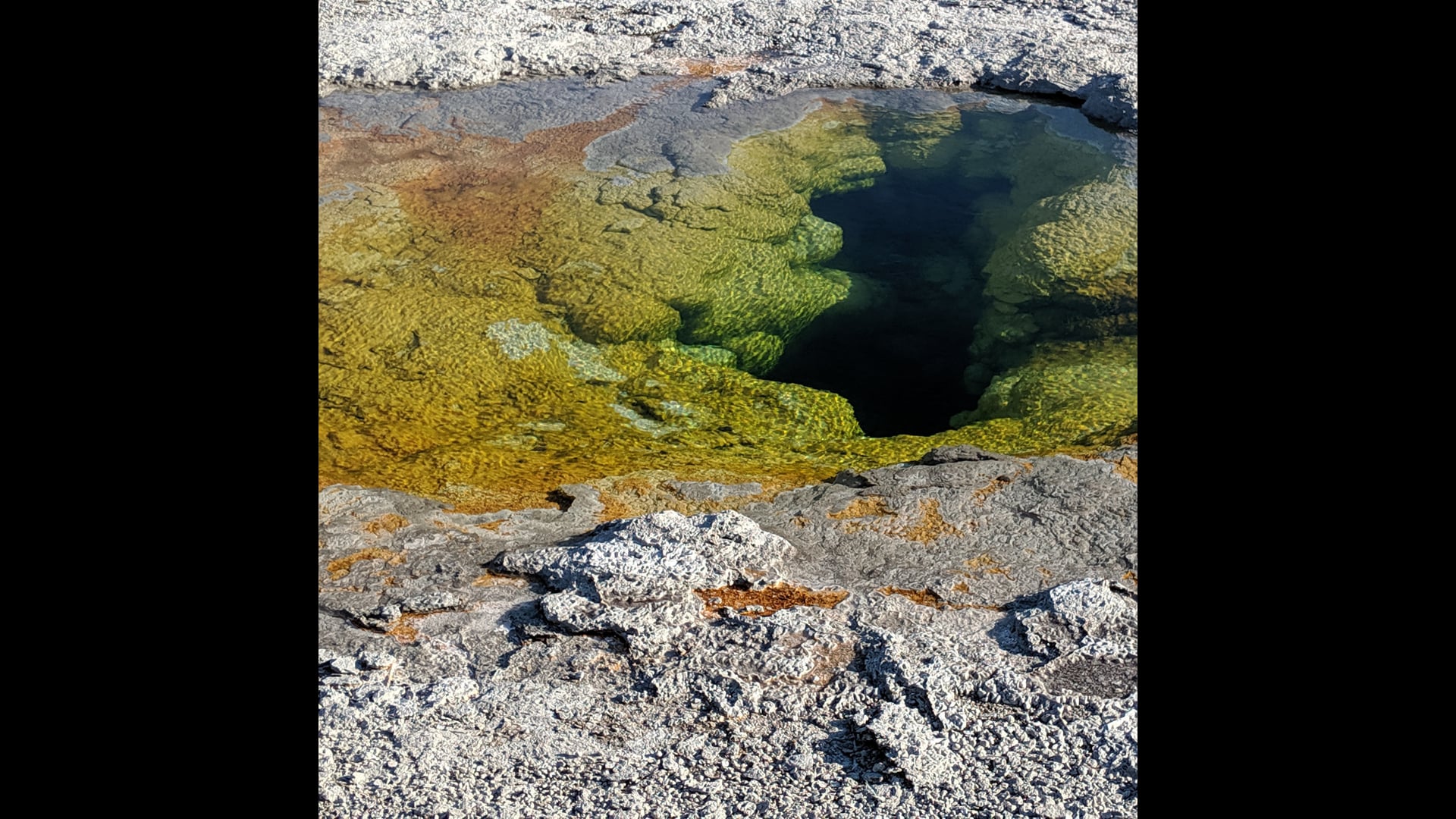 2020 November 16: Make a Relationship with the Poignancy of Dukkah