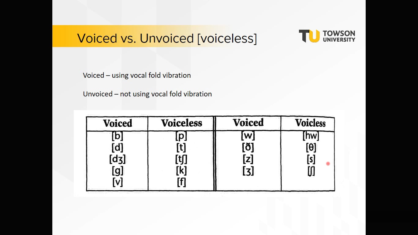 Module 5 - Articulation Part I on Vimeo