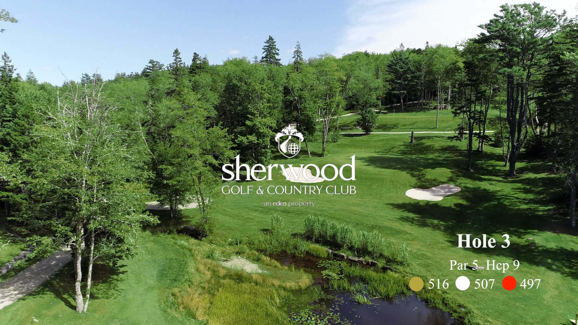 Sherwood #3