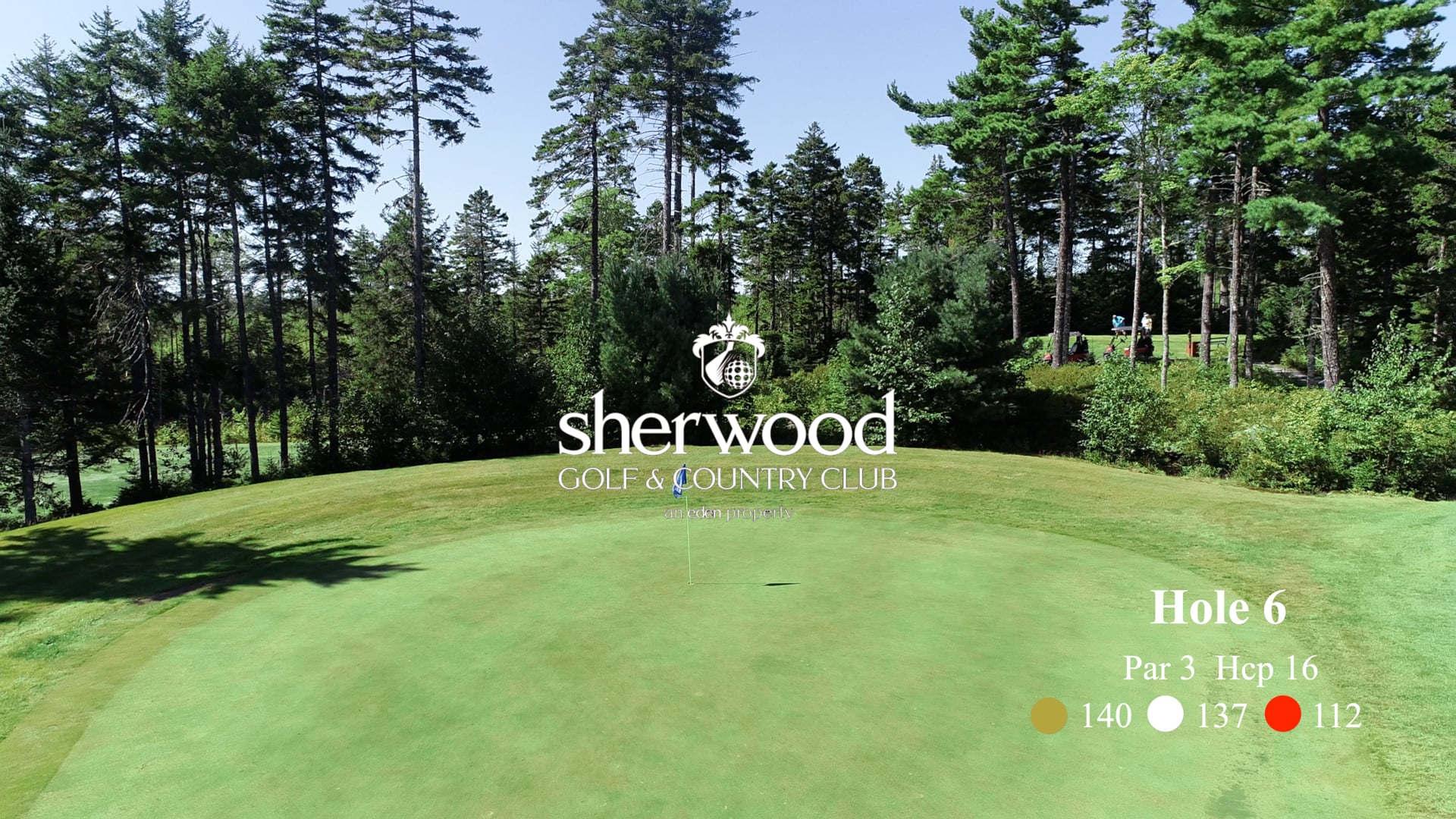 Sherwood #6