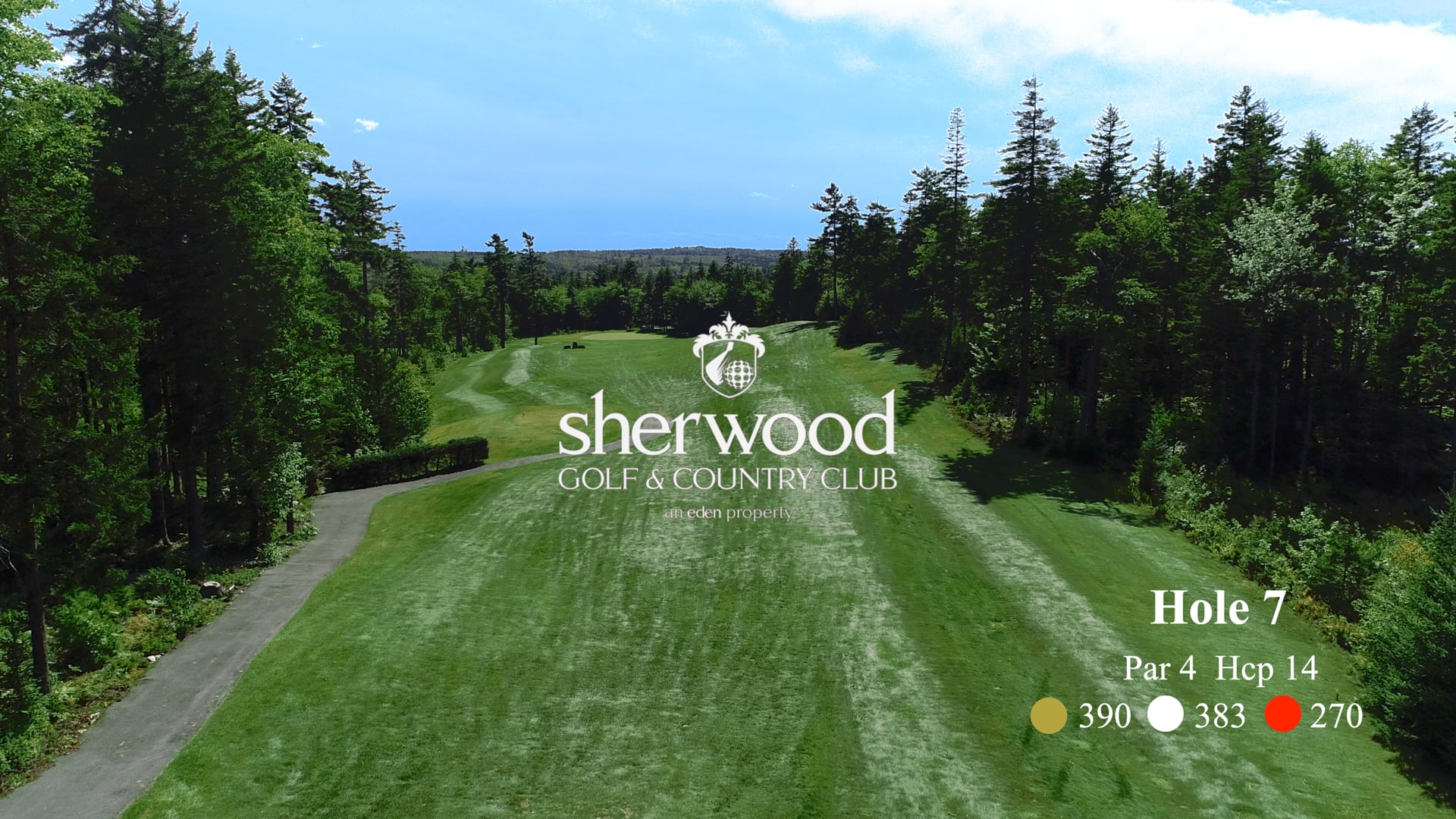Sherwood #7