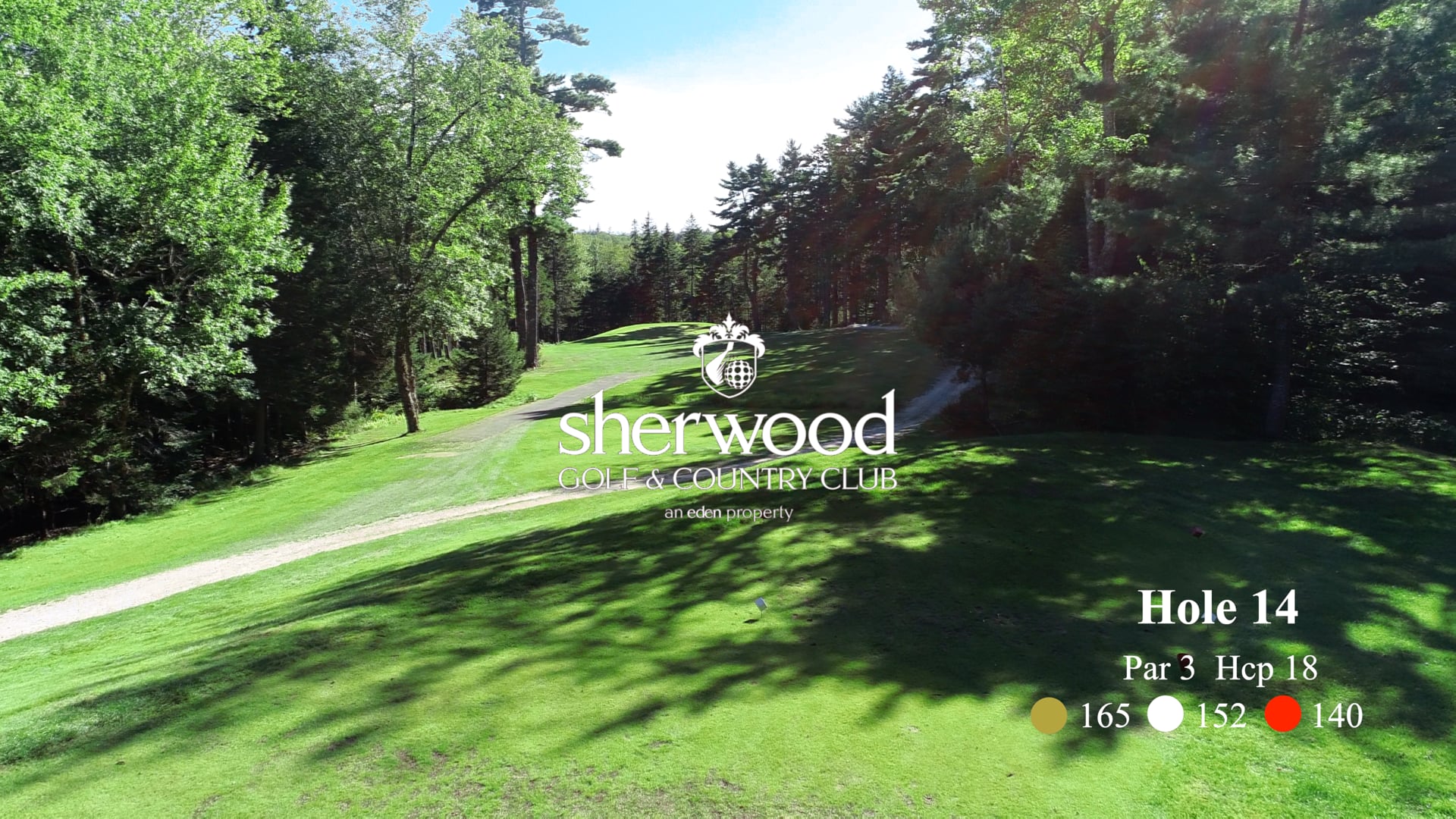 Sherwood #14