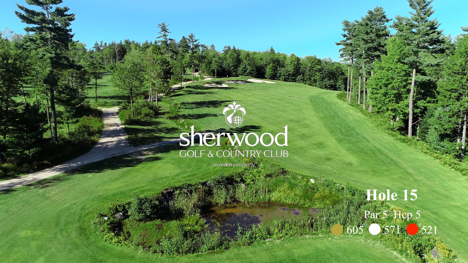 Sherwood #15