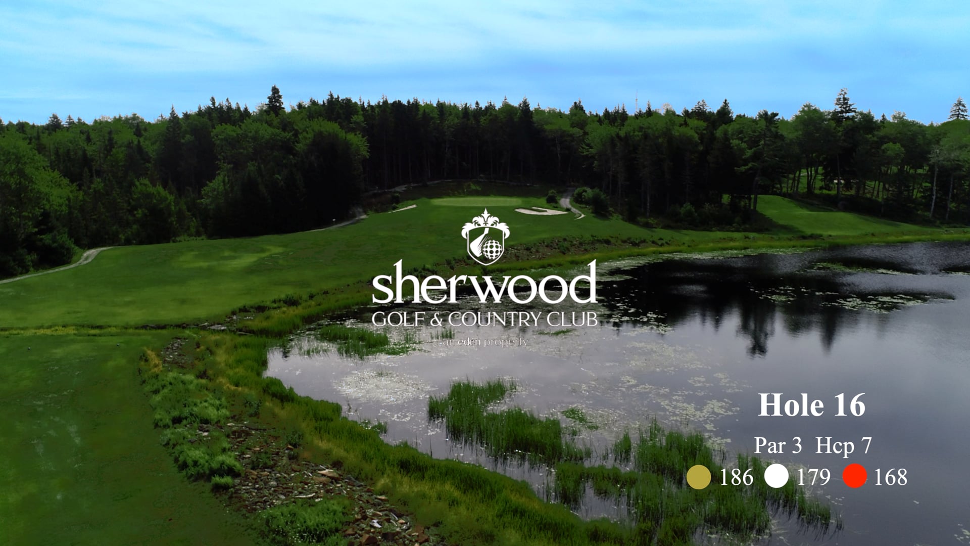 Sherwood #16