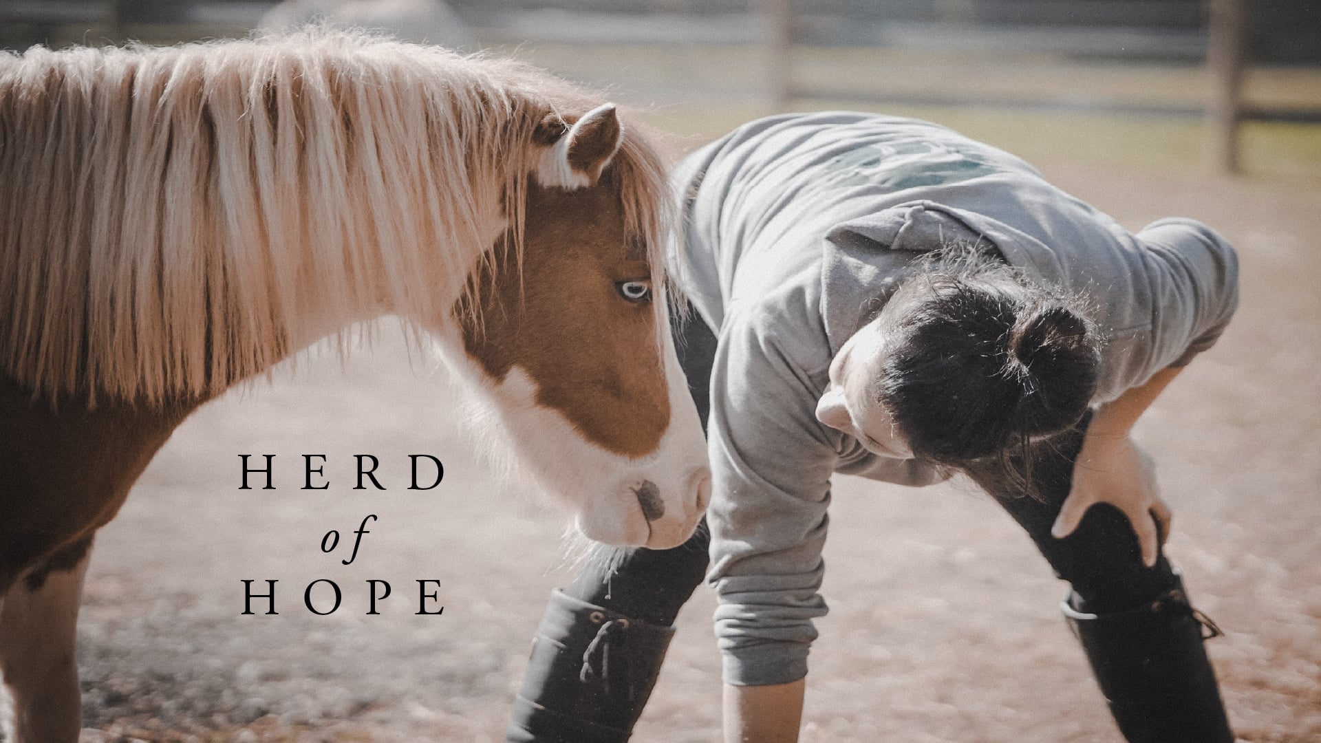 Herd of Hope