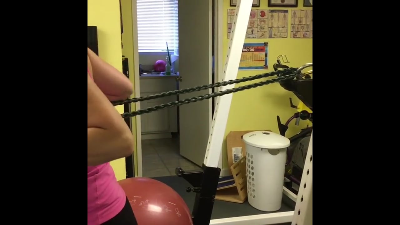 Functional training gym-Punch Forward/Trunk Rotation