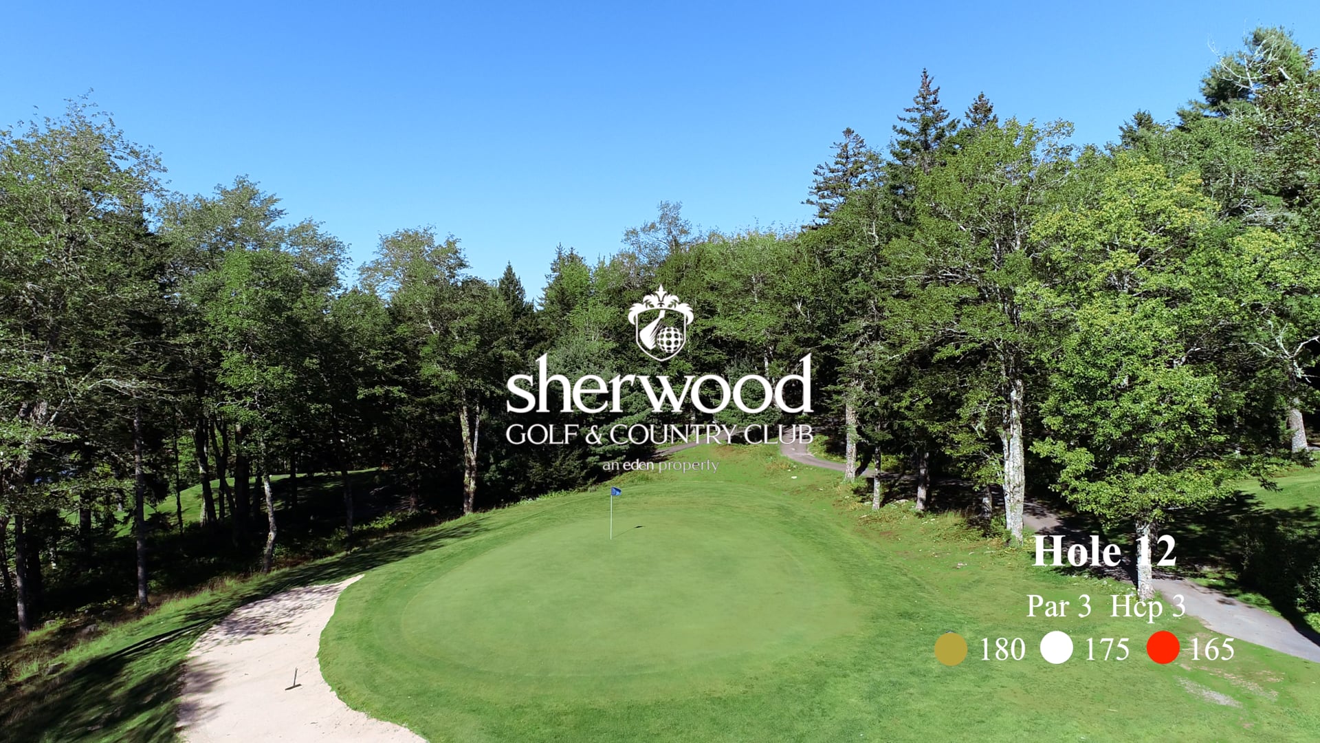 Sherwood #12