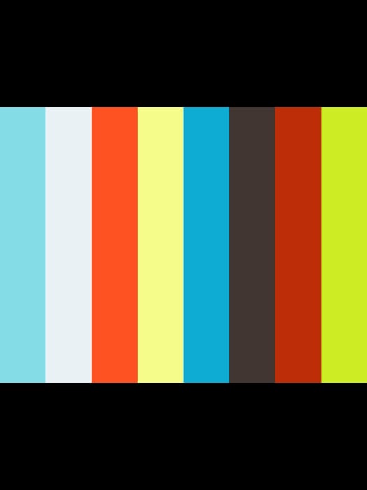 https://i.vimeocdn.com/video/default_525x700?r=pad
