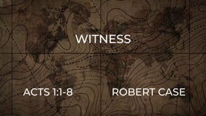 Witness