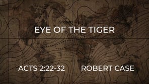 Eye of the Tiger