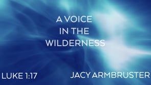 A Voice In The Wilderness